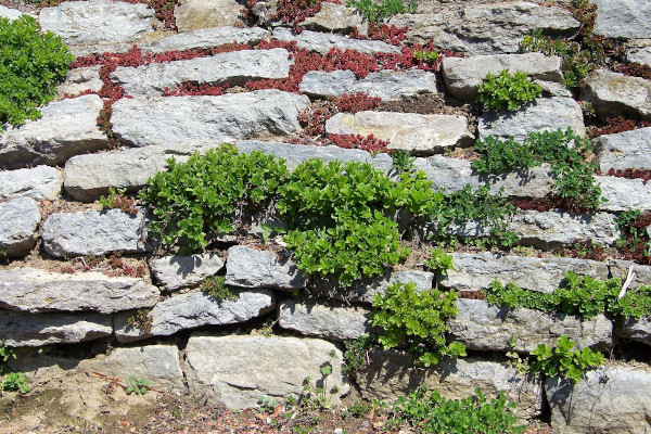 Retaining Wall